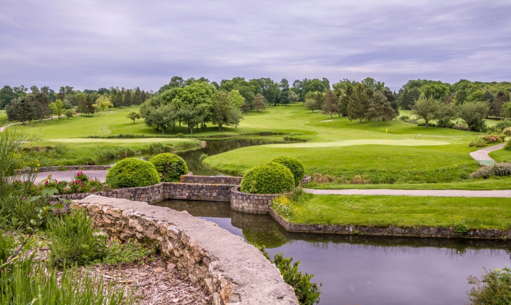 Finding Comfort: Best Golf Grips for Seniors with Hand Pain