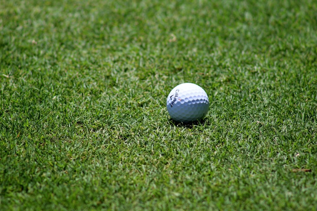 Senior Golf Skorts With Built-in Shorts